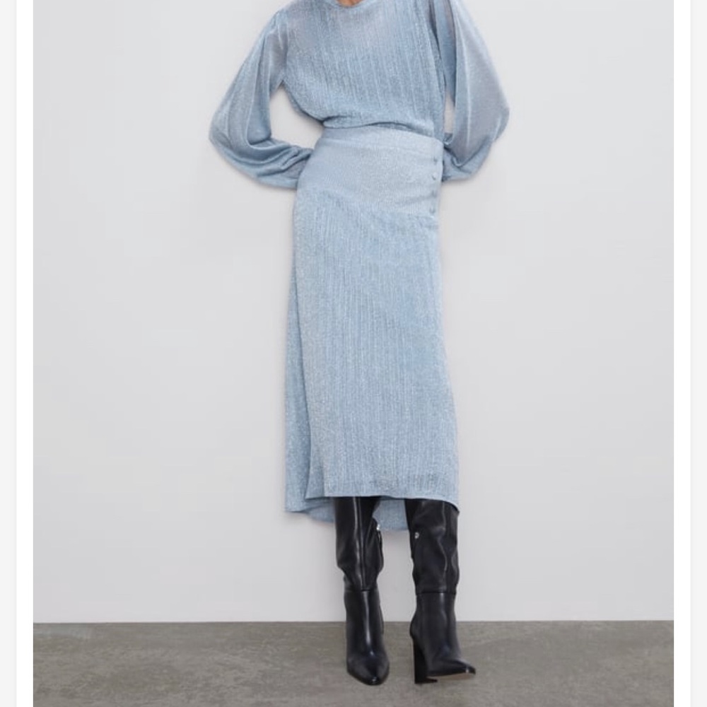 Zara Skirt